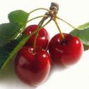 My Favorite Fruits