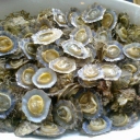 Cozze Patelle (Limpets)... shellfish that can be eaten raw or in a sauce with spaghetti.