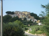 vmicozzi