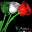 rvjrosas