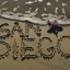 sandiegoricheys