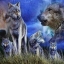 wolfie