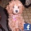 Missy2