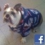 adilando
