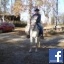 bettyboop1123