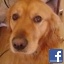 luvmonkee2003@yahoo.com