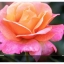 johnfcryptic@aol.com