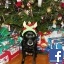 pooter207@gmail.com