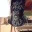 kelli.kuhen@yahoo.com