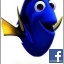 Dory