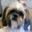 realmimi45@gmail.com