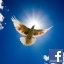 dsanna2012@gmail.com