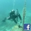 Scubadiver23