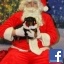 nstygrl97