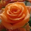 arrizonangelica