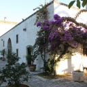 Puglia Tour 2015 - Masseria Marzalossa, our home in Puglia