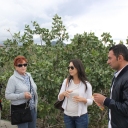 Sicily Tour 2015 - Visit at Pistachio Farm in Bronte