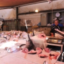 Sicily Tour 2015 - Fish Market in Catania