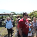 Sorrento Tour 2015  - Lunch at the Vesuvius Winery