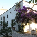 Puglia Tour 2015 (1)