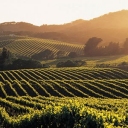 Sonoma County